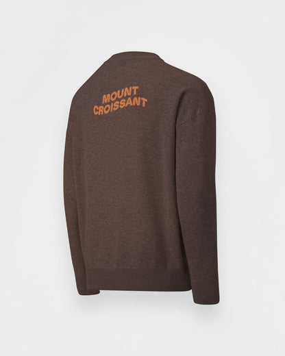 Pain aux raisins knitted sweater