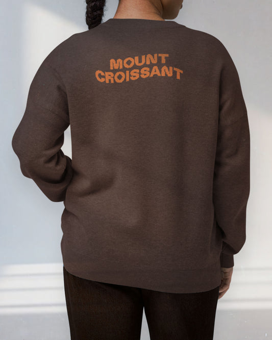 Pain aux raisins knitted sweater