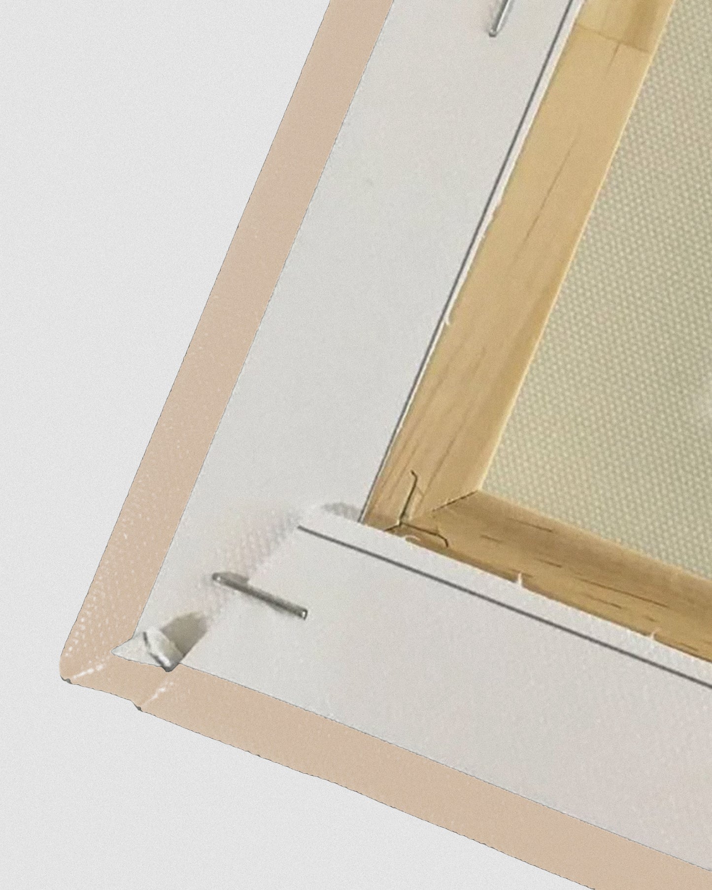 Canvas Print - Goated